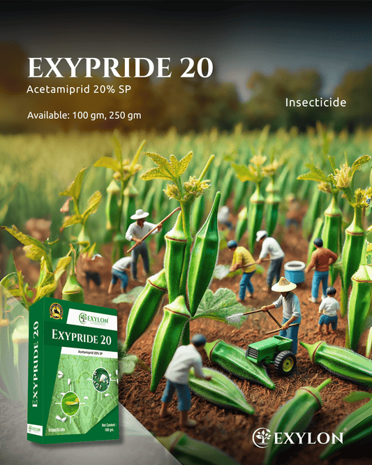 EXYLON EXYPRIDE 20 INSECTICIDE - Exylon Pesticides