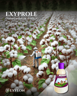EXYLON EXYPROLE INSECTICIDE - Exylon Pesticides