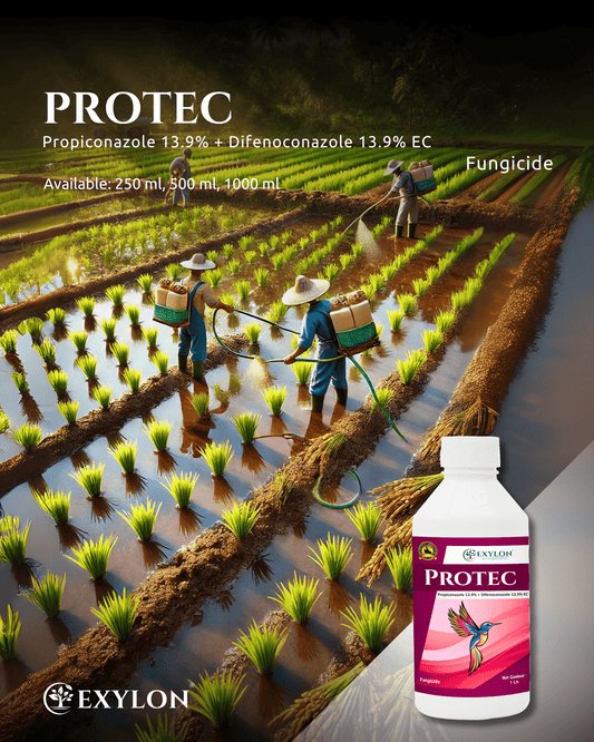 EXYLON PROTEC FUNGICIDE - Exylon Pesticides