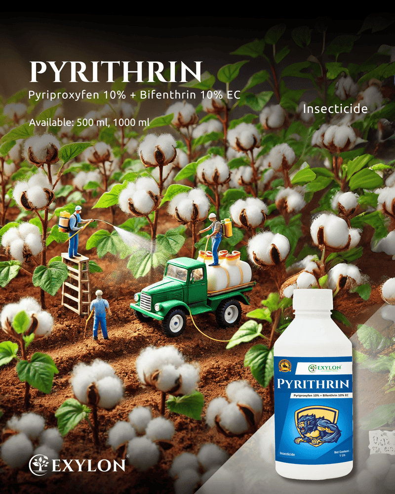 Exciter Insecticide Buy Pyrithrin (Pyriproxyfen 10% + Bifenthrin 10% EC) Insecticide – Dual ...