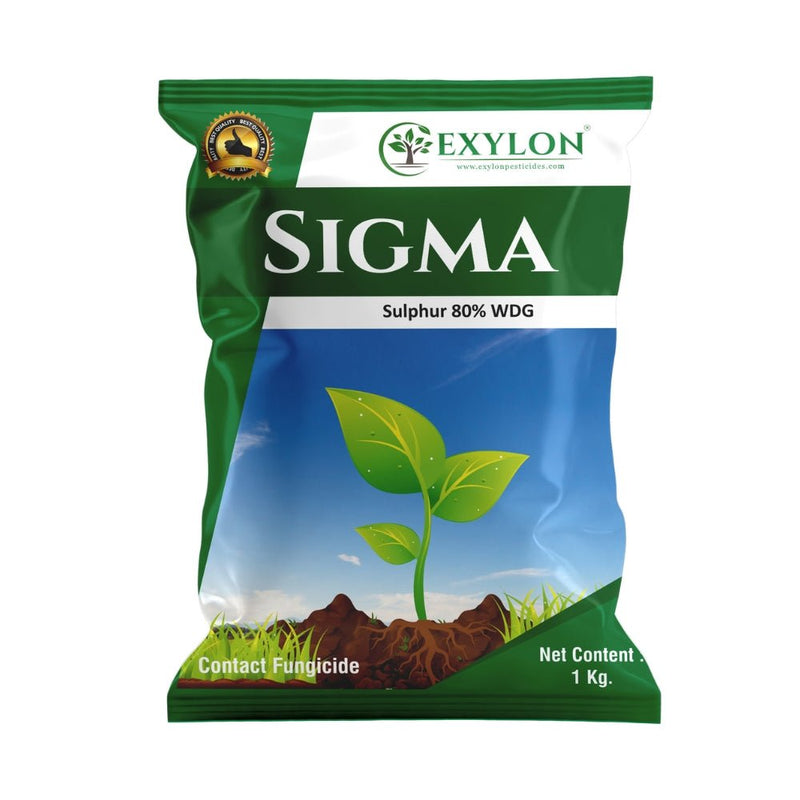 Exylon Sigma Fungicide (Sulphur 80% WDG) product image