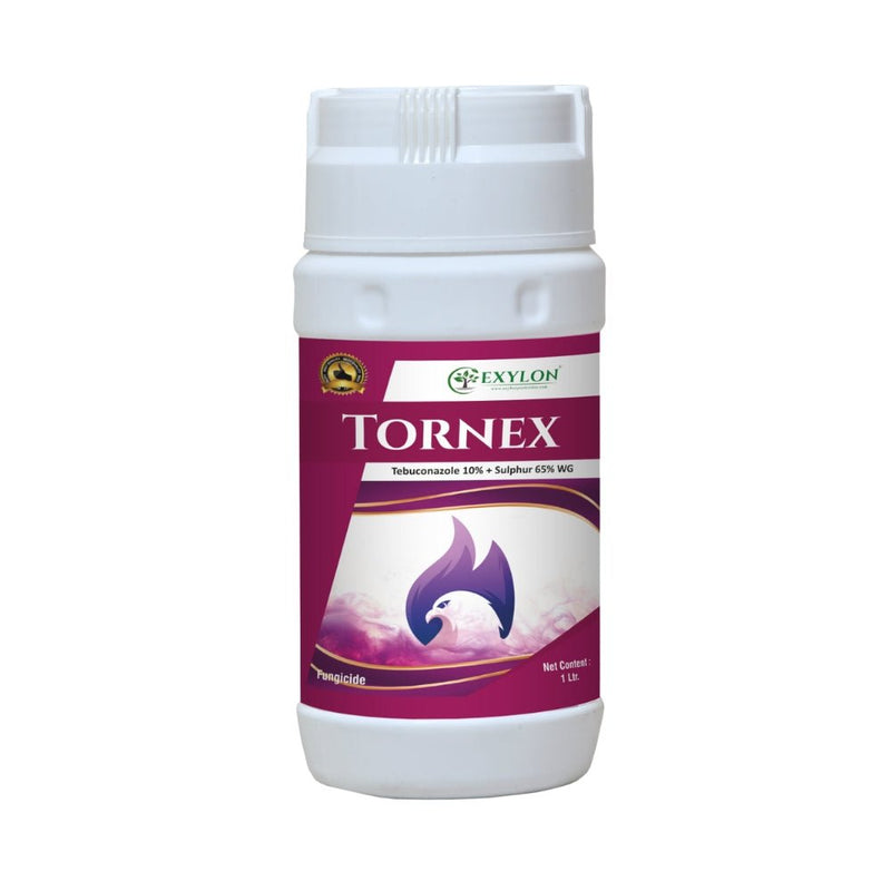 Exylon Tornex Fungicide (Tebuconazole 10% + Sulphur 65% WG) product image